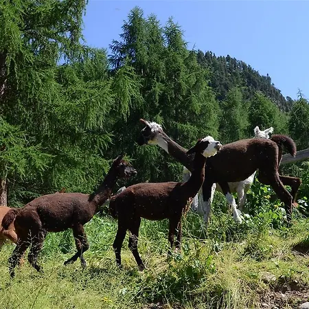 La Tresenda And Mountain Farm *
