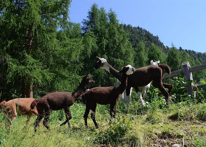 La Tresenda And Mountain Farm *